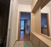 A hallway in a vacation apartment with a cabinet and a wooden decor floor.