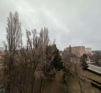 Snow-covered trees and a housing estate in Dunajská Streda, near a recreational apartment.