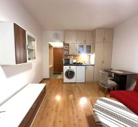 A recreational apartment with a built-in kitchen, a red sofa, and a wooden decor floor.