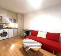 Recreational apartment with a red sofa, kitchenette, and wooden decor flooring.