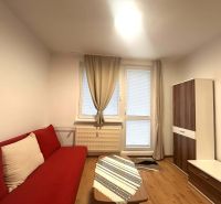 Recreational apartment with a red sofa, wooden floor decor, and a wardrobe with wood decor.
