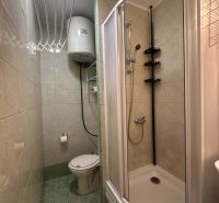 Bathroom with toilet and shower in a holiday apartment.