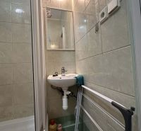 Bathroom of the recreational apartment with a sink, shower, and clothes dryer.