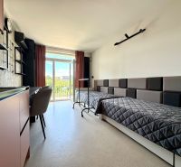Studio apartment with two beds, a work desk, and a view through a large window.
