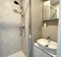 Shower corner and sink with storage space in the studio apartment bathroom.