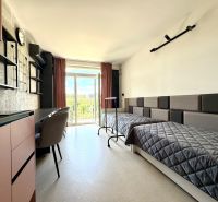 Studio with two beds, a work desk, and a view through a large window.