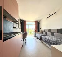 Studio apartment with a kitchenette and two beds, flooring with a wooden appearance.