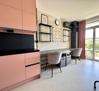A studio apartment with a pink kitchen unit, a work desk, and a balcony with a view of greenery.