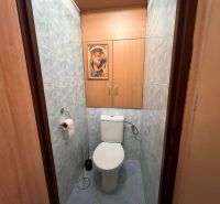A toilet in a 2-room apartment with blue tiles and wooden decor cabinets.