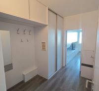 Entrance hall of a one-room apartment with a built-in wardrobe and a floor with a wooden decor.