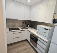 Kitchen unit in a one-room apartment with appliances and a wooden decor floor.