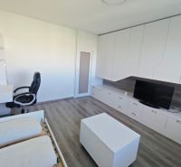 Interior of a 1-bedroom apartment with a desk, television, and wood-patterned flooring.