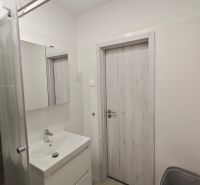 Bathroom in a studio apartment with a white sink and shower, floor with wood decor.