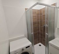 A bathroom with a shower and a washing machine in a studio apartment.