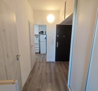 A hallway in a one-room apartment with a wood-patterned floor and a built-in wardrobe.