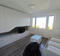 Interior of a 1-room apartment with white cabinets, wood-patterned flooring, and large windows.