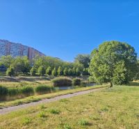 A housing estate with apartment buildings, greenery, and a sidewalk in Petržalka on Lachova.