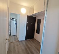 Entrance hallway with built-in wardrobes and a wood-patterned floor in a studio apartment.