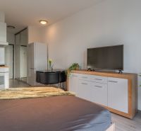 Living room in a studio apartment with a kitchenette, TV, refrigerator, and table.