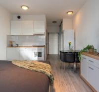 1-bedroom apartment with a kitchen, dining table, and wood-patterned flooring.