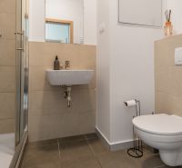 Bathroom with toilet and shower in a studio apartment.