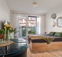 Bright 1-room apartment with a bed, mirrors, and wooden decor flooring, balcony outside the window.