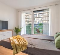 A bedroom in a studio apartment with a television, mirrors, and a balcony, wooden decor flooring.