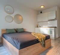 A simple room with a bed, a kitchenette, and a wooden decor floor.
