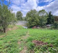 Garden at a family house in Stankovany, with grass and trees in the background.