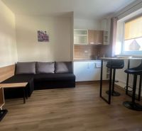 Living room with a kitchenette, wooden decor flooring, 2-room apartment.