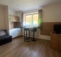 Living room with a kitchenette in a 2-room apartment, floor with wood decor.