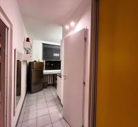 A narrow kitchen corridor in a one-room apartment with tiles and ceiling lighting.
