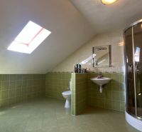 A bathroom in a family house with tiles and a shower under a skylight.