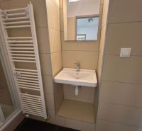 A bathroom in a family house with a sink, mirror, and ladder radiator.