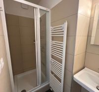 A bathroom in a family house with a plate shower corner and a ladder radiator.