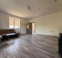 Living room in a family house with a wooden decor floor and a sofa.