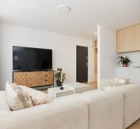 Living room in a 4-room apartment with a sofa, television, and kitchenette.
