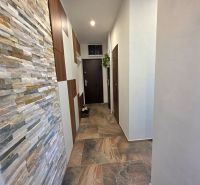 A narrow hallway in a 2-room apartment with a wall of tiles and flooring.