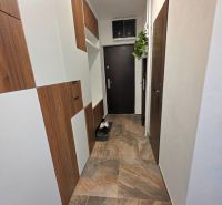 A hallway in a 2-room apartment with dark doors and a wooden decor floor.
