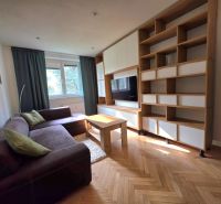 Living room in a 2-room apartment with a sofa, TV, and wooden decor flooring.