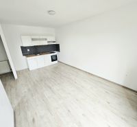 Kitchen unit and floor with wooden decor in a studio apartment.