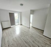 Living room with white walls and wood-decor flooring in a studio apartment.