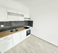 White kitchen unit with black tiles in a studio apartment with a wood-patterned floor.