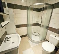 Bathroom in a studio apartment with a sink, shower, and toilet.