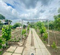 Garden at the cottage on Nové Zámky Street in Nové Zámky with a vineyard and a flowerbed.