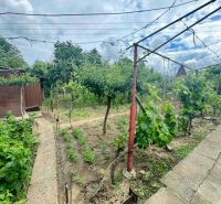 A garden by the cottage in Nové Zámky with fruit trees and a path.