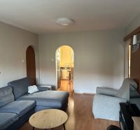 Living room of a 3-room apartment with a comfortable sofa and a wooden decor floor.