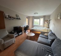 Living room of a 3-room apartment with a wooden decor floor, sofa, and desk.