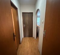 A hallway in a 3-room apartment with a wooden decor floor and doors.
