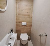 Bathroom in a 2-room apartment with wood-patterned flooring and a wall-mounted toilet.